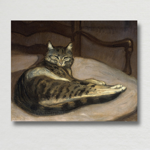 Cat chair 1902 - a,