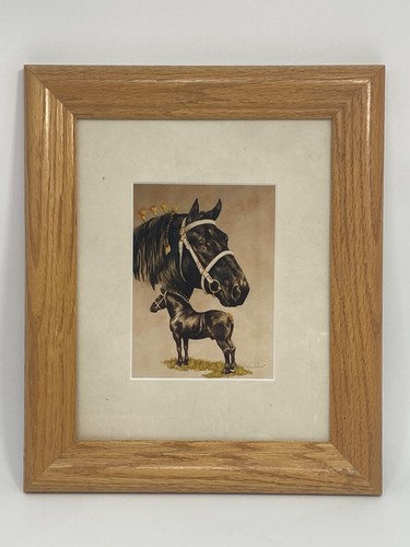 Vintage maurice shaw - maurice,