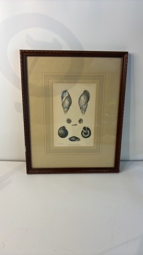 Vintage sowerby new - g.b.,